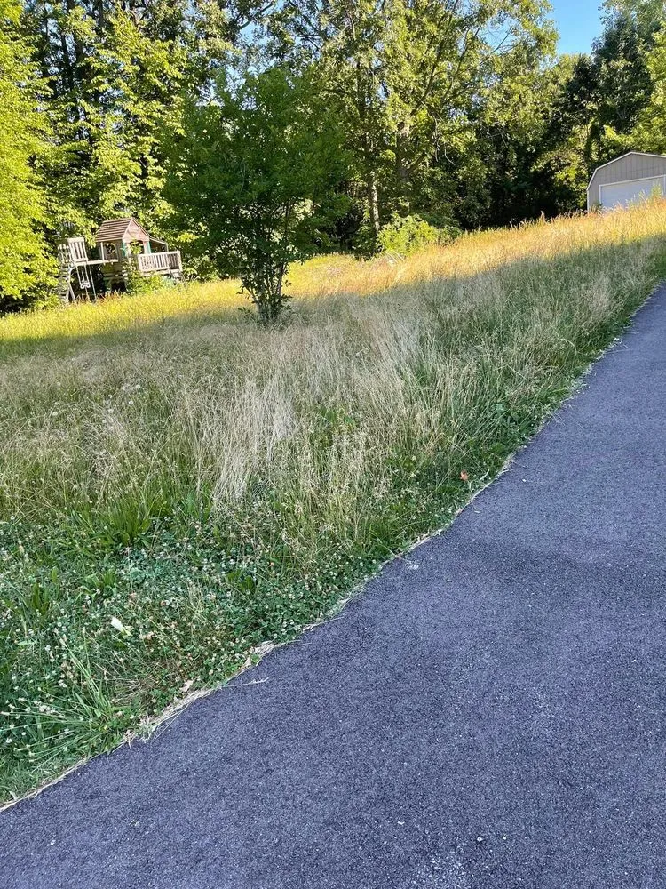 Reliable yard cleanup service experts serving Canton, OH - All-round home and lawn care