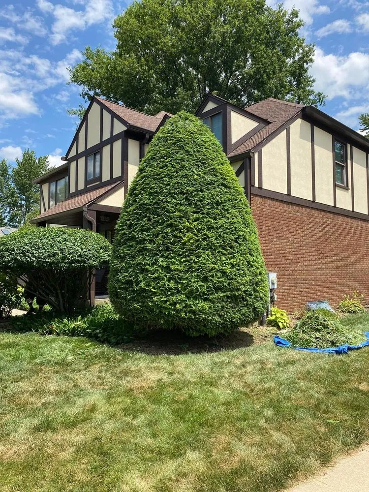 Trusted landscaping services for beautiful yards in Canton, OH by All-round home and lawn care