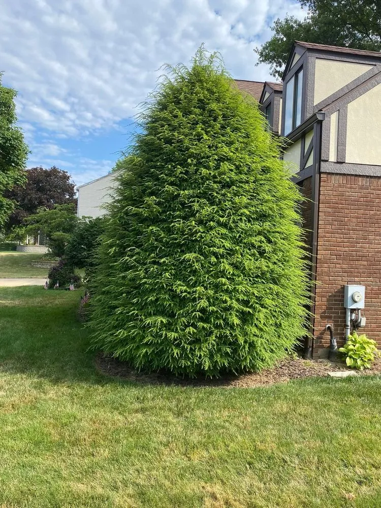 Reliable residential landscaping for residential properties in Canton, OH by All-round home and lawn care