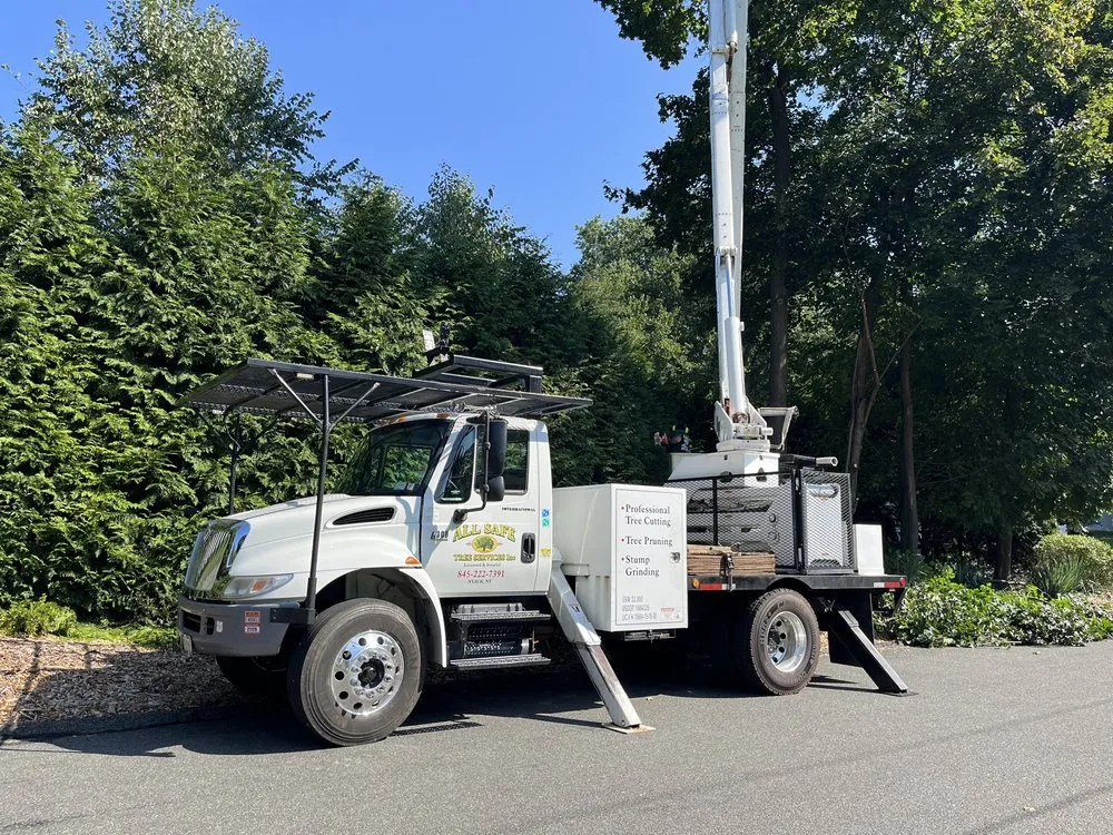 Local yard maintenance in Nyack, NY by All Safe Tree Services