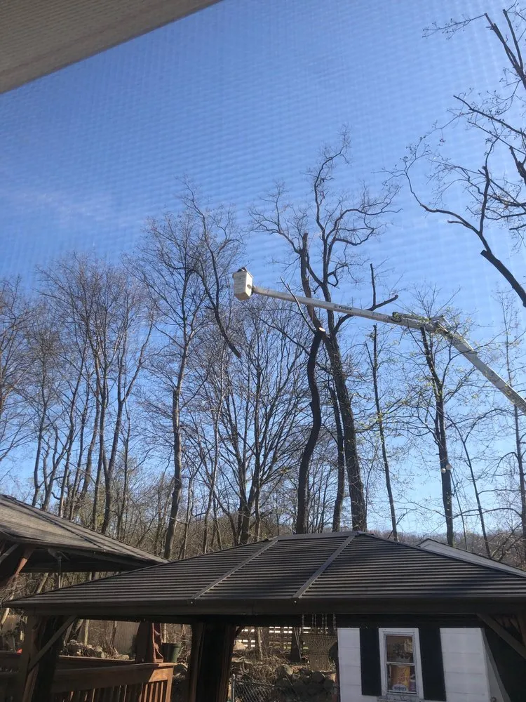 Local yard cleanup service in Nyack, NY by All Safe Tree Services