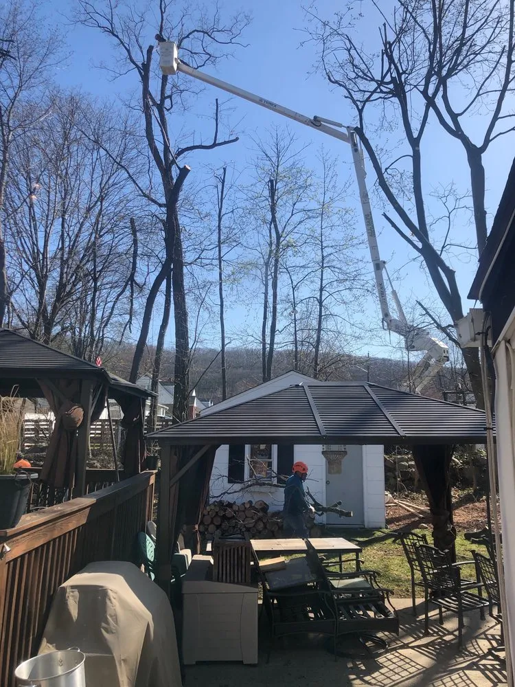 Expert garden landscaping near you across Nyack, NY - All Safe Tree Services