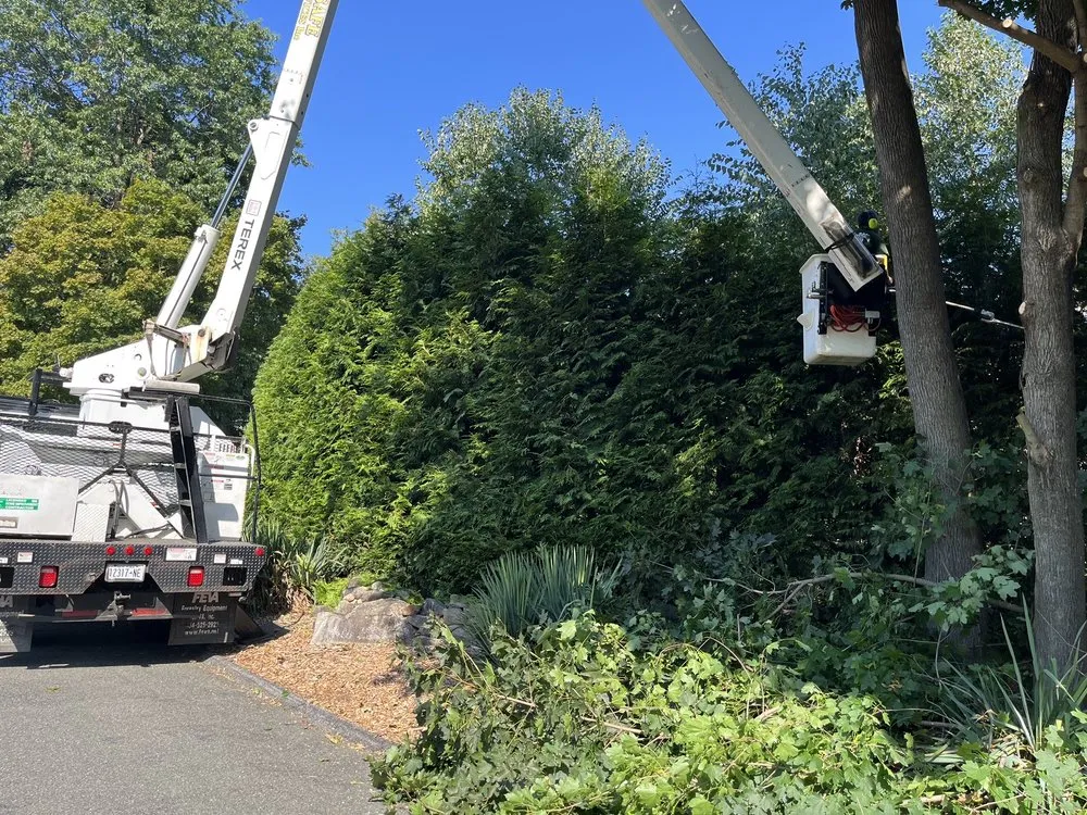 Local outdoor landscaping experts serving Nyack, NY - All Safe Tree Services