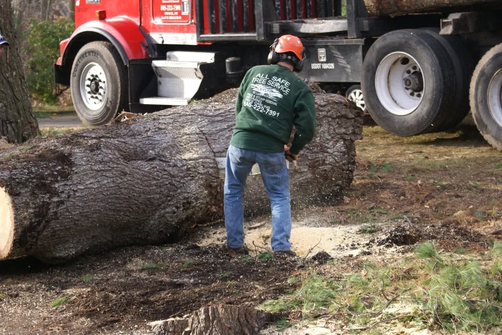 Expert lawn mowing service for year-round maintenance in Nyack, NY by All Safe Tree Services