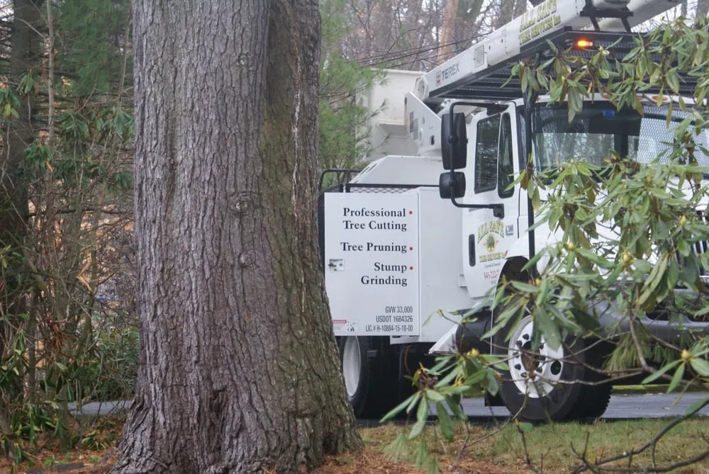 Local yard maintenance for outdoor upgrades across Nyack, NY - All Safe Tree Services