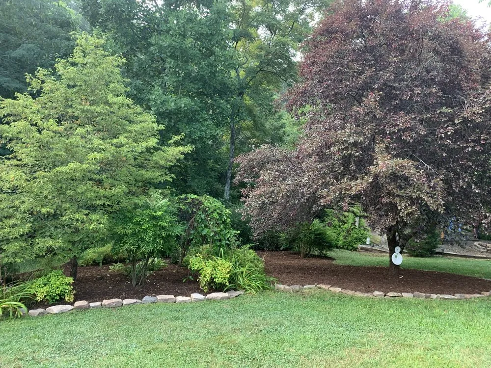 Custom landscape design in Enka, NC by All-Scape Solutions
