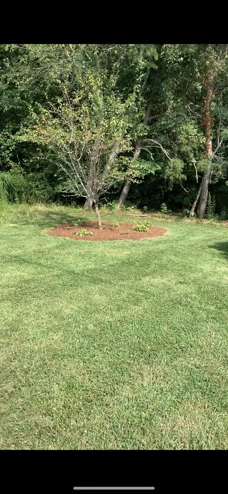 Trusted outdoor landscaping in Enka, NC by All-Scape Solutions