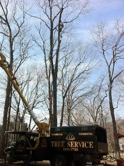 Reliable landscaping services in Exeter, RI by All-Scapes