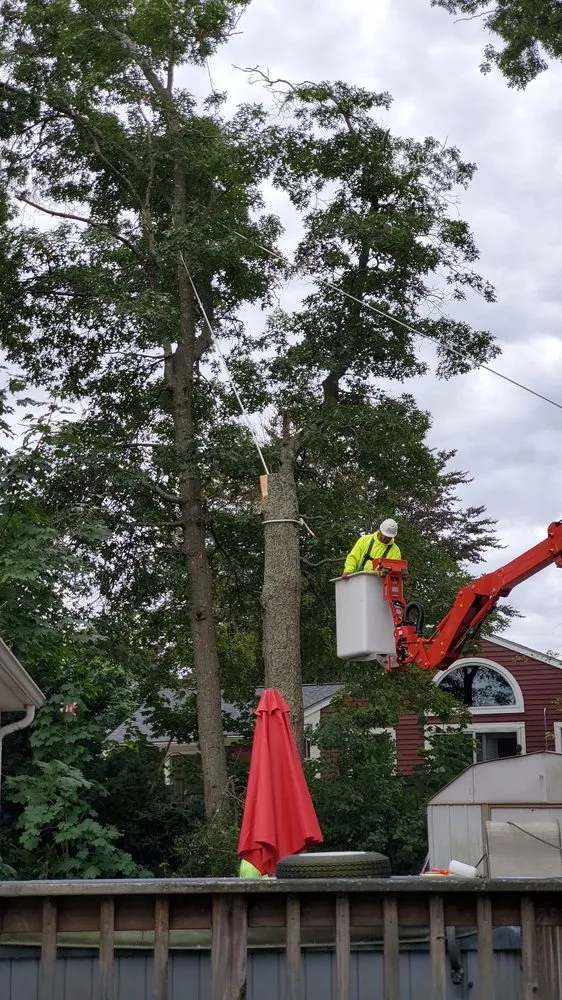 Professional landscape design experts serving Exeter, RI - All-Scapes