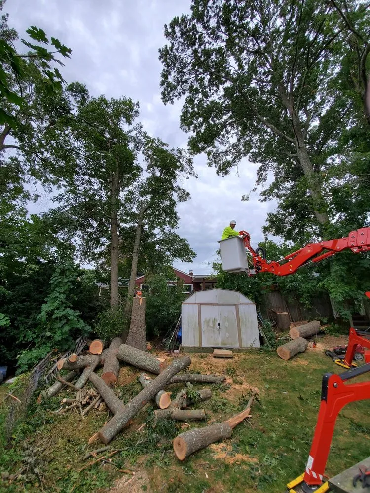 Top-rated landscape design in Exeter, RI by All-Scapes