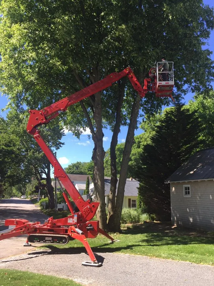 Custom landscaping services in Exeter, RI - All-Scapes