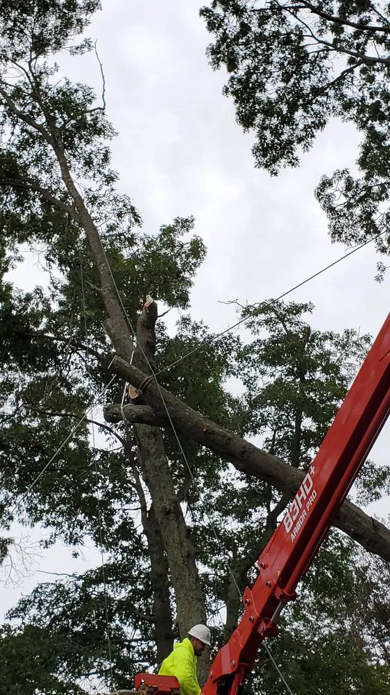 Expert landscape installation in Exeter, RI by All-Scapes