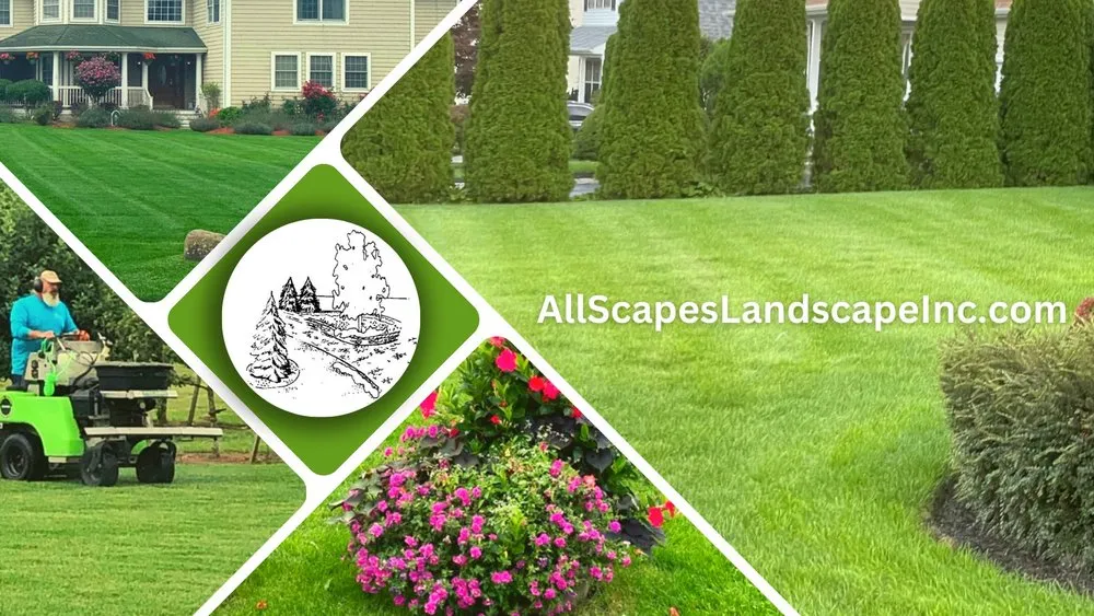 Expert yard maintenance experts serving Manorville, NY - All Scapes Landscape Design