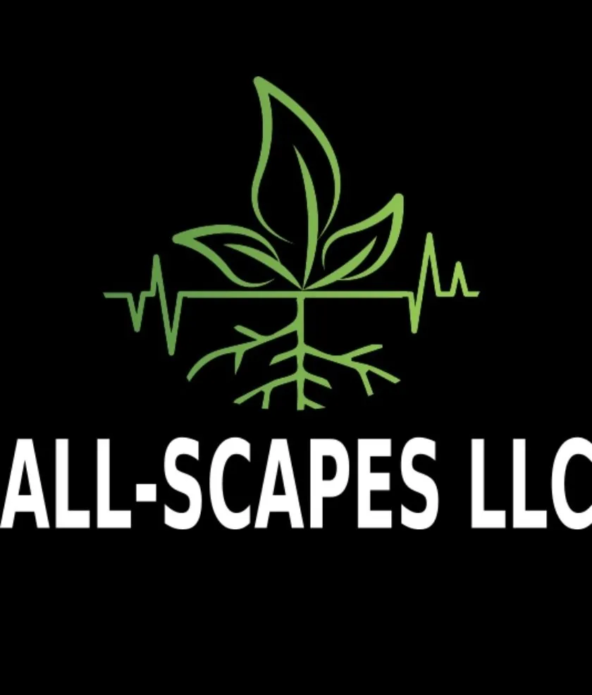 Top-rated landscaping services in Lincoln, NE - All Scapes