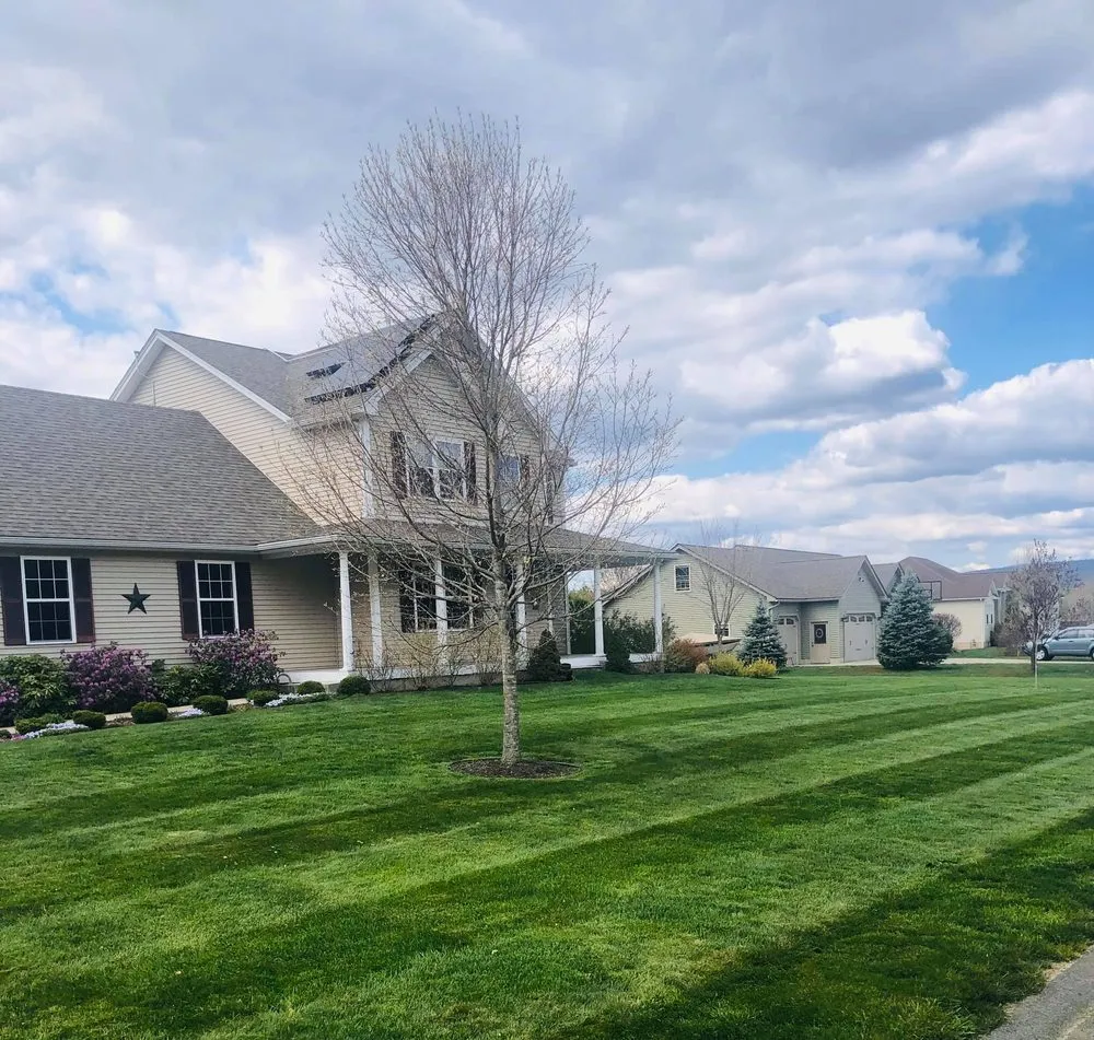 Expert lawn care service in Easthampton, MA by All Season Clean-up & Landscaping
