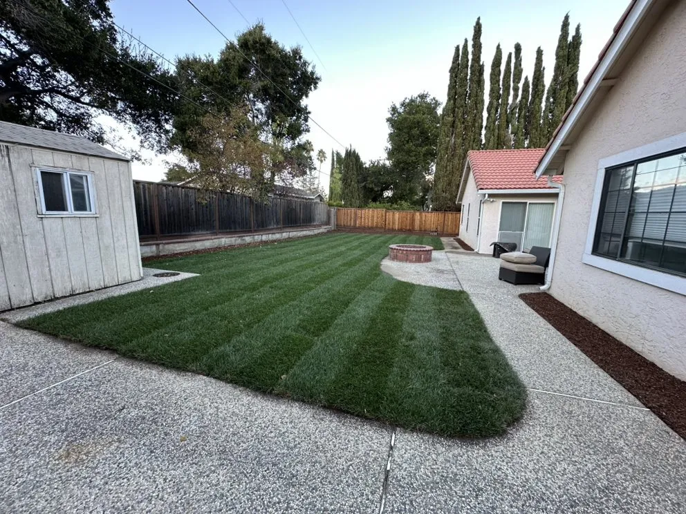 Custom lawn mowing service for year-round maintenance across Cypress, CA - All Season Gardening