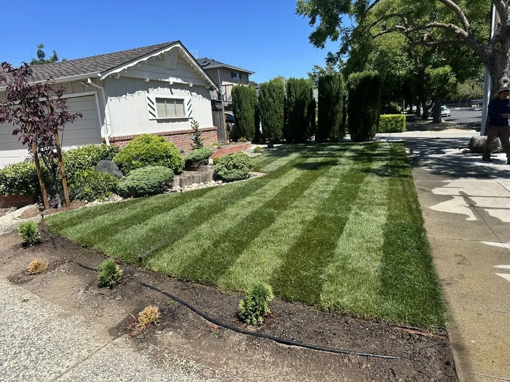 Expert outdoor landscaping in Cypress, CA by All Season Gardening