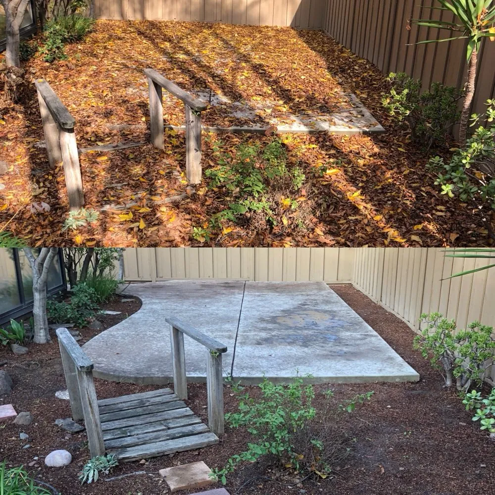 Expert landscaping services experts serving Cypress, CA - All Season Gardening