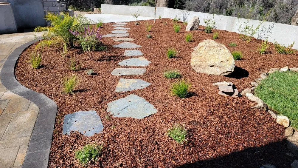 Expert yard maintenance near you in Cypress, CA by All Season Gardening