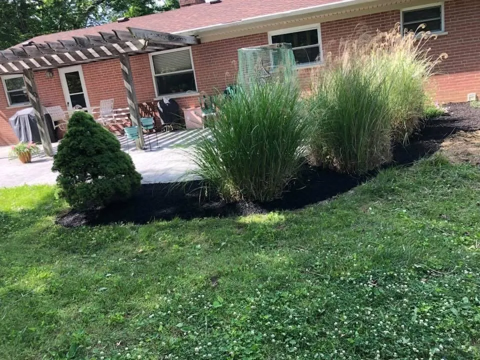 Expert yard cleanup service for outdoor upgrades in Loveland, OH by All Season Grounds