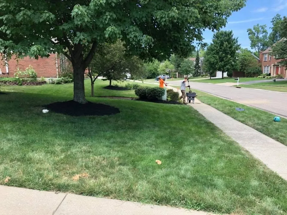 Affordable landscape installation in Loveland, OH - All Season Grounds