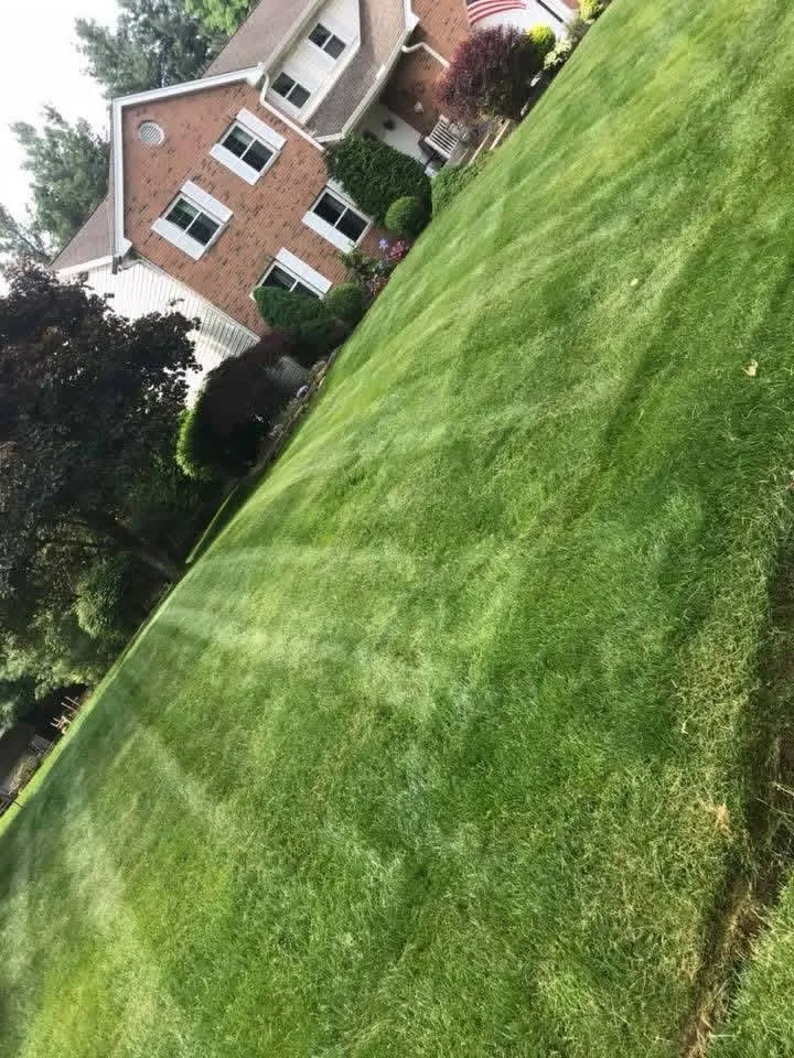 Affordable landscape design in Loveland, OH - All Season Grounds