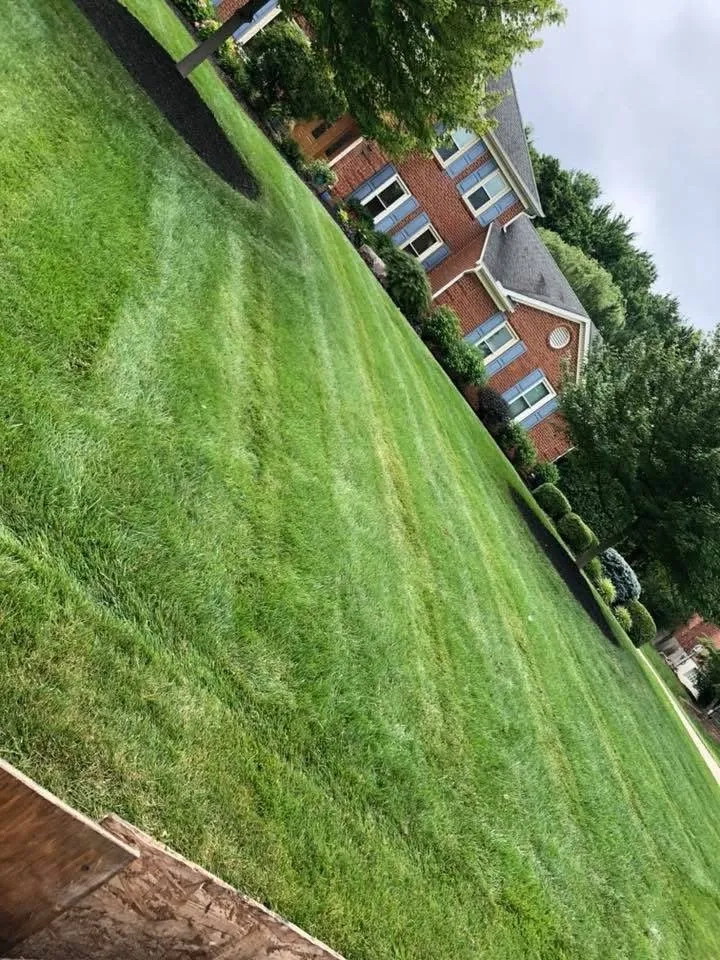 Reliable landscape design in Loveland, OH - All Season Grounds