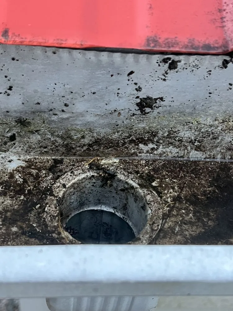 Custom yard cleanup service in Oxford, NC by All Season Home Services