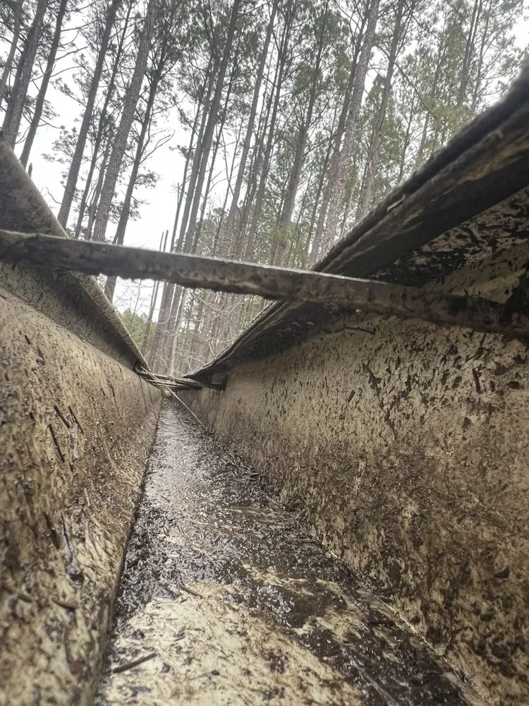 Top-rated yard cleanup service in Oxford, NC by All Season Home Services