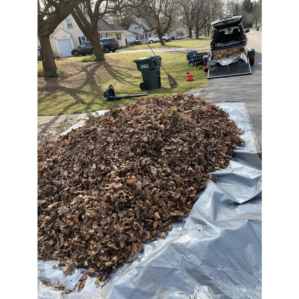 Trusted yard cleanup service in Rochester, NY - All Season Landscape Management