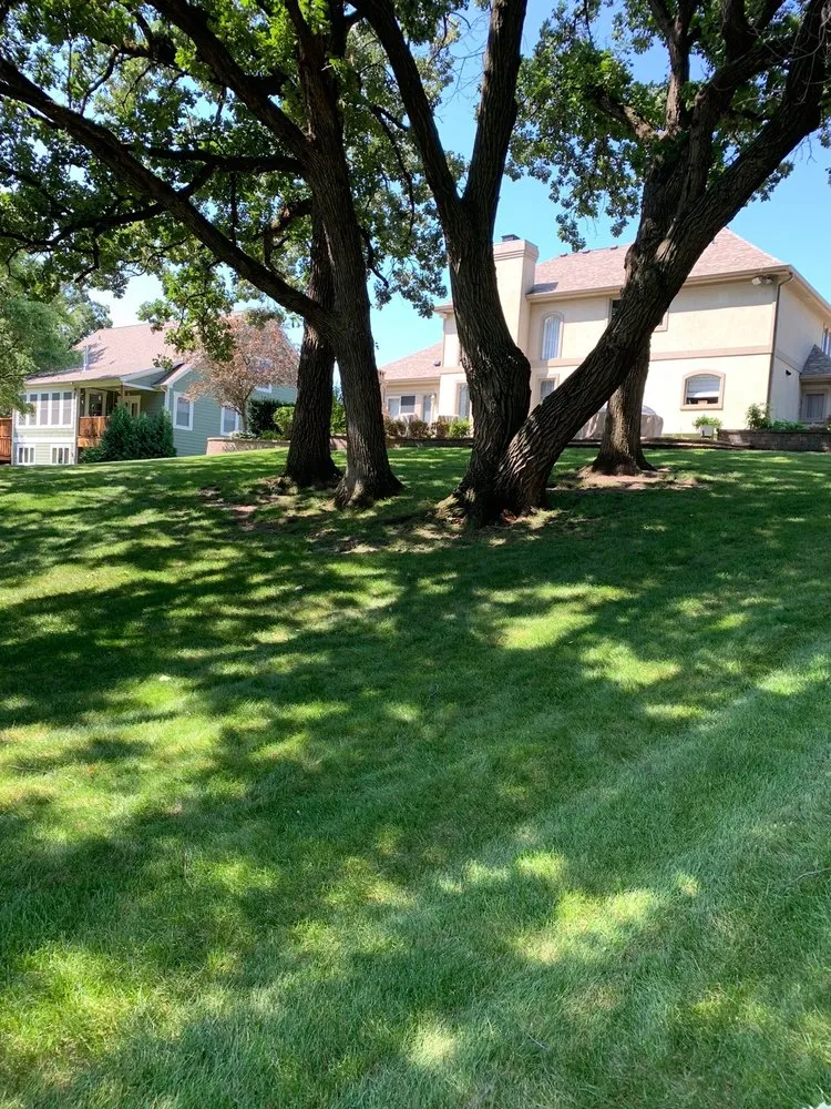 Affordable landscape installation experts serving Orland Park, IL - All Season Landscape Services