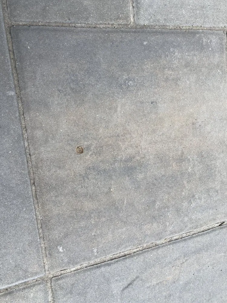 Professional yard maintenance near you across Orland Park, IL - All Season Landscape Services