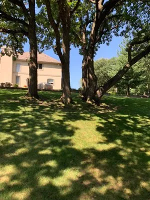 All Season Landscape Services