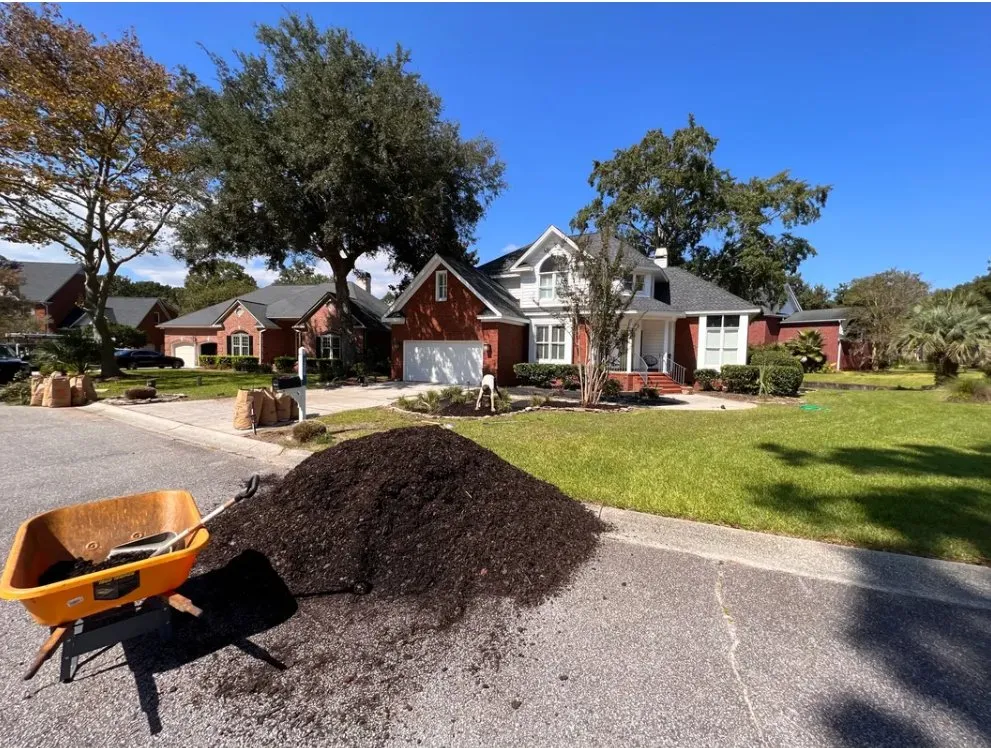 Affordable lawn mowing service for homes across Mount Pleasant, SC - All Season Landscapes