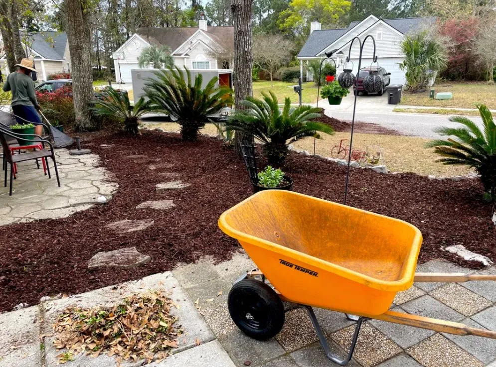 Top-rated outdoor landscaping in Mount Pleasant, SC by All Season Landscapes