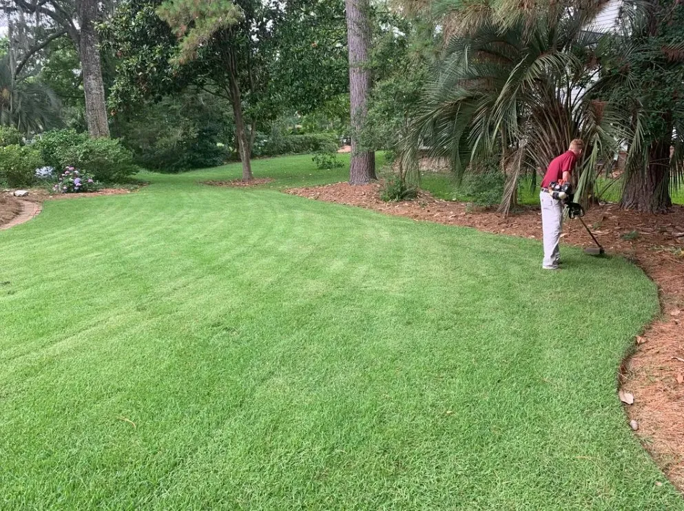 Trusted residential landscaping near you across Mount Pleasant, SC - All Season Landscapes