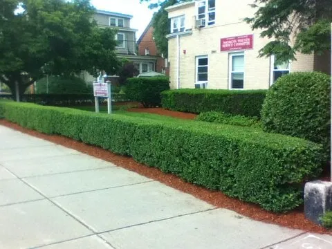 Affordable lawn mowing service in Billerica, MA - All Season Landscaping