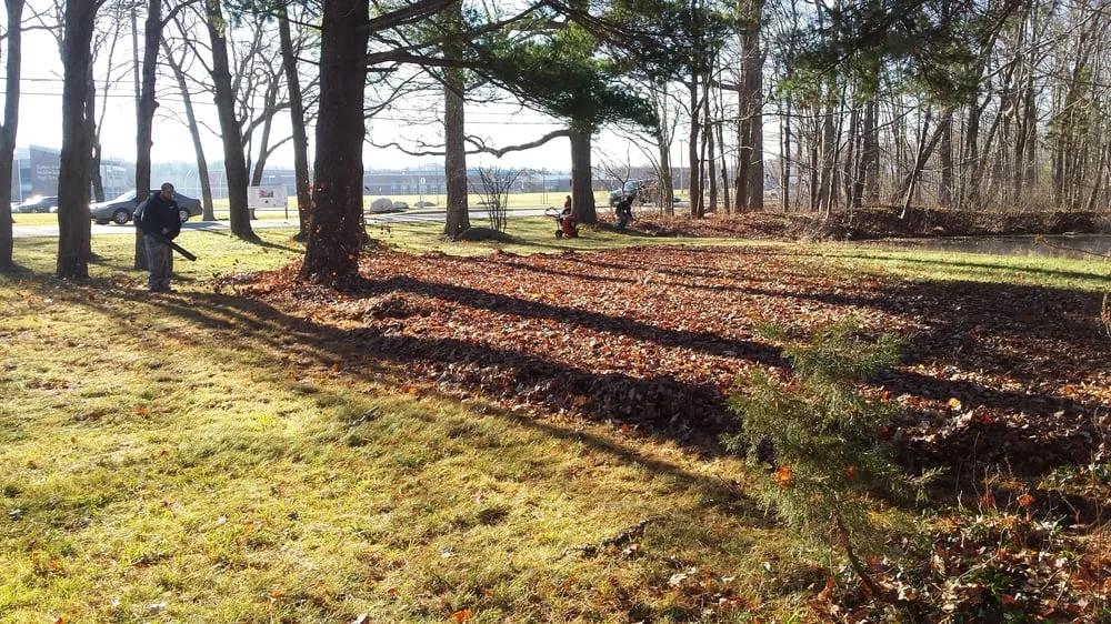 Custom yard maintenance in Billerica, MA by All Season Landscaping