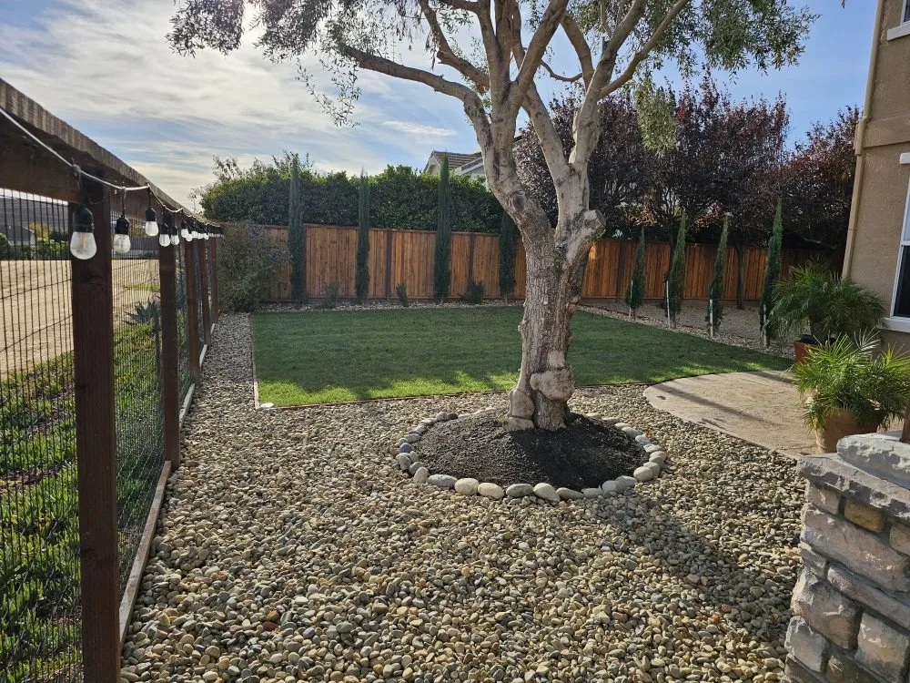 Local lawn mowing service in Fairfield, CA - All Season Landscaping