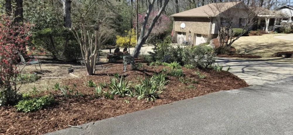 Reliable lawn care service near you across Pelham, AL - All Season Landscaping Service