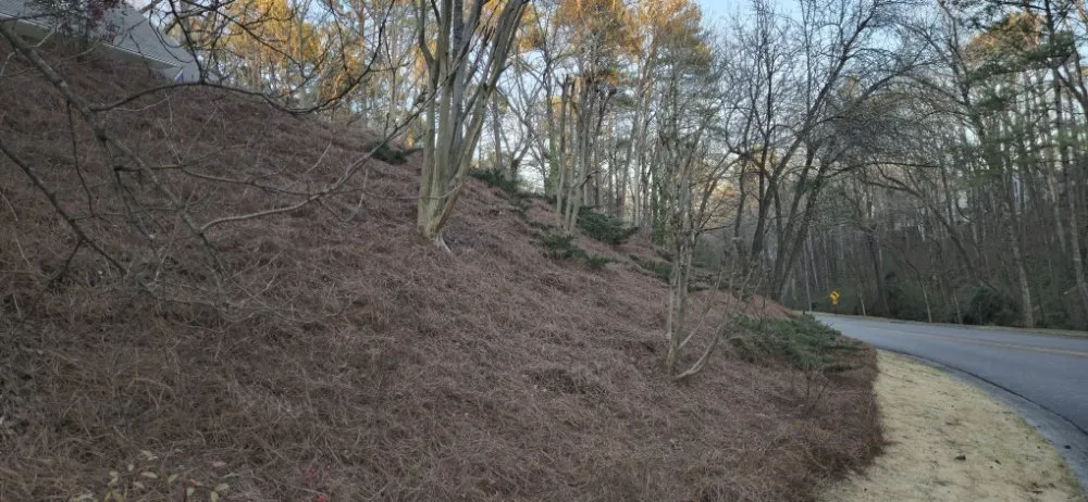 Custom yard cleanup service experts serving Pelham, AL - All Season Landscaping Service