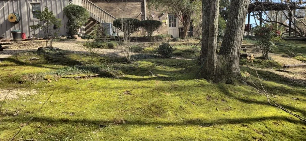 Expert outdoor landscaping in Pelham, AL by All Season Landscaping Service