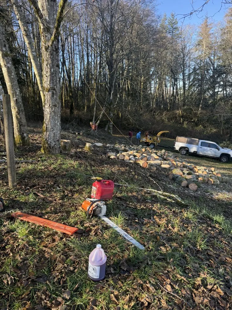 Affordable lawn mowing service with custom design across Kelso, WA - All Season Lawn Care & Contractor