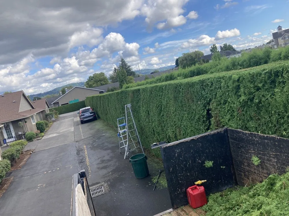 Reliable landscaping services experts serving Kelso, WA - All Season Lawn Care & Contractor