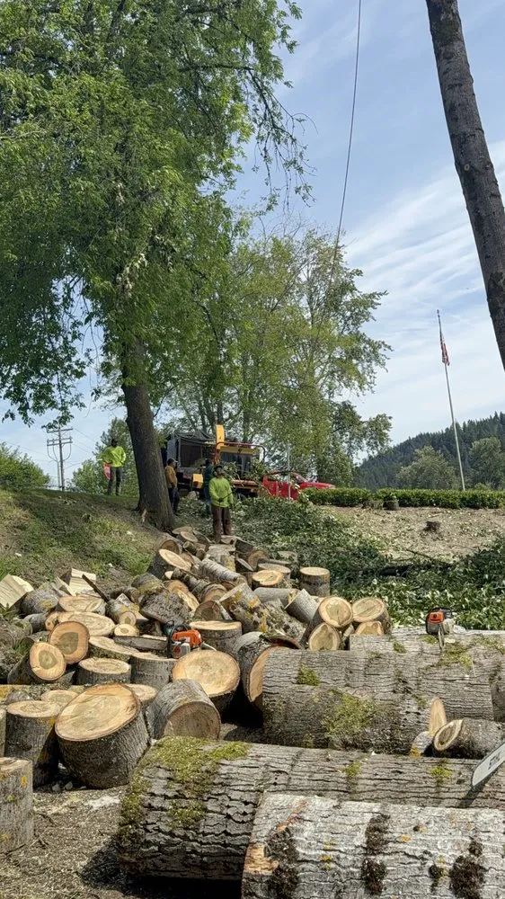 Custom landscaping services in Kelso, WA - All Season Lawn Care & Contractor