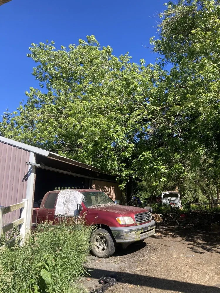 Local outdoor landscaping for homes across Kelso, WA - All Season Lawn Care & Contractor