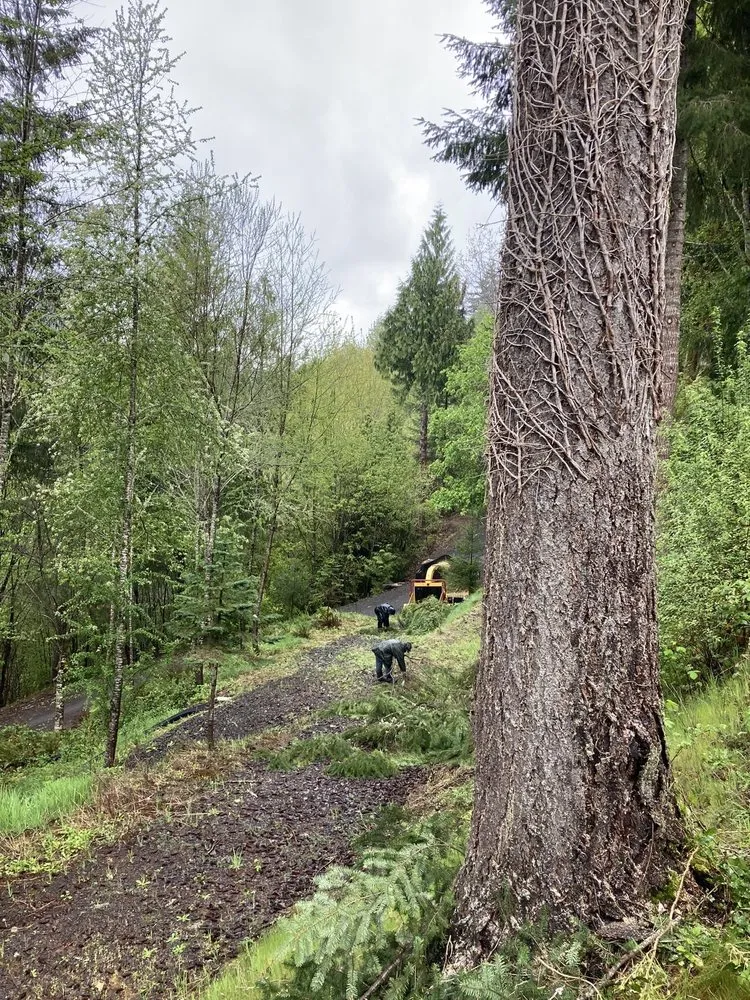 Custom landscape design in Kelso, WA by All Season Lawn Care & Contractor