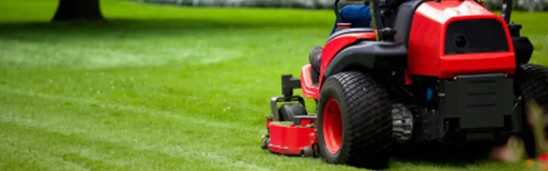 Expert landscape design near you in Milwaukee, WI by All Season Lawn Care & Landscaping