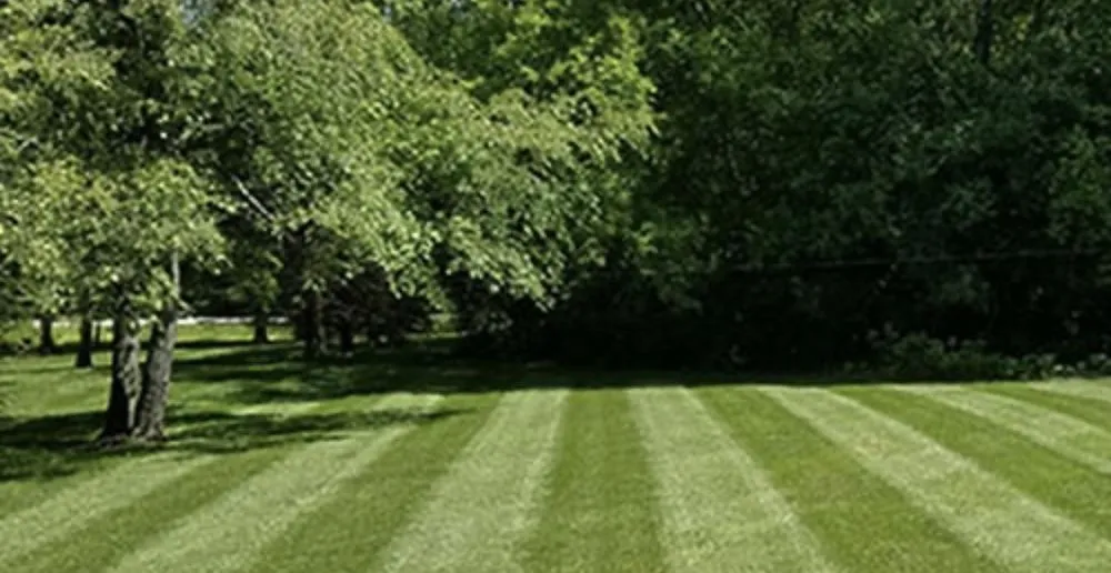 Local garden landscaping for homes in Oregon, WI by All Season Lawn Care & Snow Removal