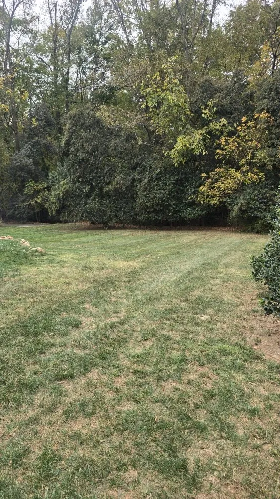 Expert landscaping services experts serving Monroe, NC - All Season Lawn Care